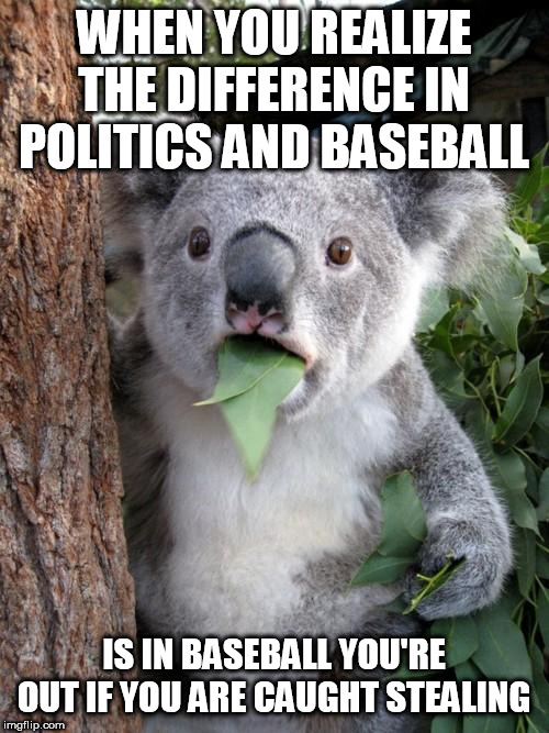 Talk about injustice | WHEN YOU REALIZE THE DIFFERENCE IN POLITICS AND BASEBALL; IS IN BASEBALL YOU'RE OUT IF YOU ARE CAUGHT STEALING | image tagged in surprised koala,politics,theft,baseball | made w/ Imgflip meme maker