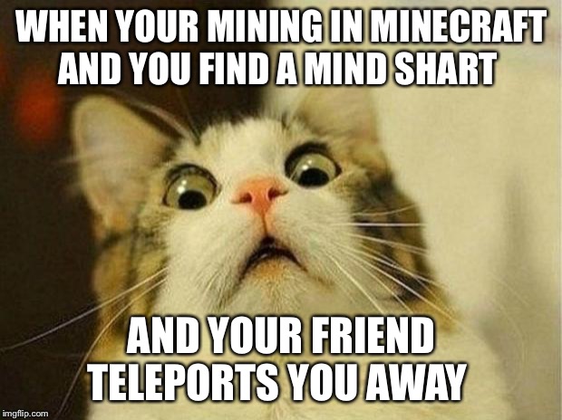 Scared Cat | WHEN YOUR MINING IN MINECRAFT AND YOU FIND A MIND SHART; AND YOUR FRIEND TELEPORTS YOU AWAY | image tagged in memes,scared cat | made w/ Imgflip meme maker