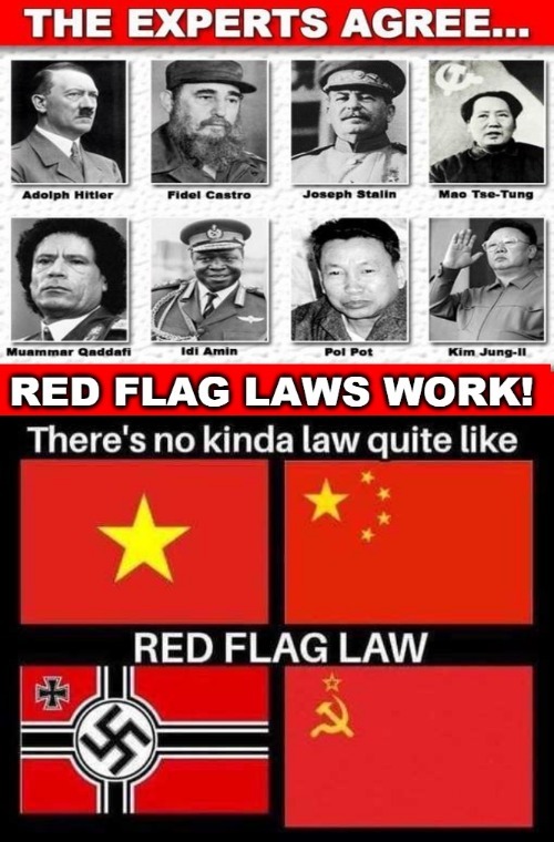 The Experts Agree: Red Flag Laws Work! | image tagged in gun control,second amendment,infringement,despots,tyrants,genocide | made w/ Imgflip meme maker