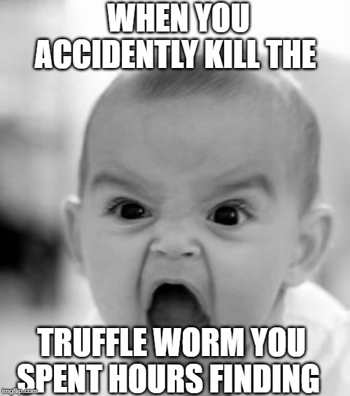 Angry Baby Meme | WHEN YOU ACCIDENTLY KILL THE; TRUFFLE WORM YOU SPENT HOURS FINDING | image tagged in memes,angry baby | made w/ Imgflip meme maker