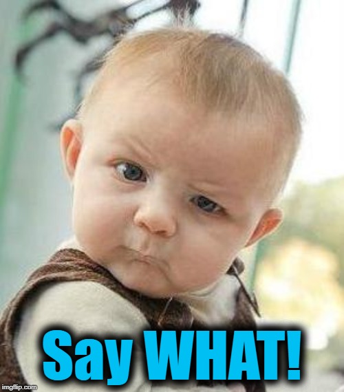 Confused Baby | Say WHAT! | image tagged in confused baby | made w/ Imgflip meme maker