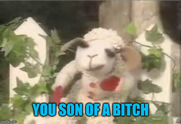 Lambchop | YOU SON OF A B**CH | image tagged in lambchop | made w/ Imgflip meme maker