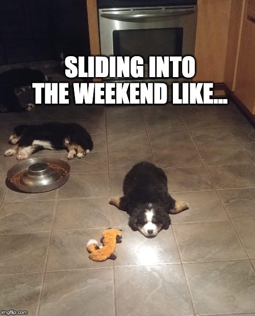 SLIDING INTO THE WEEKEND LIKE... | image tagged in memes | made w/ Imgflip meme maker