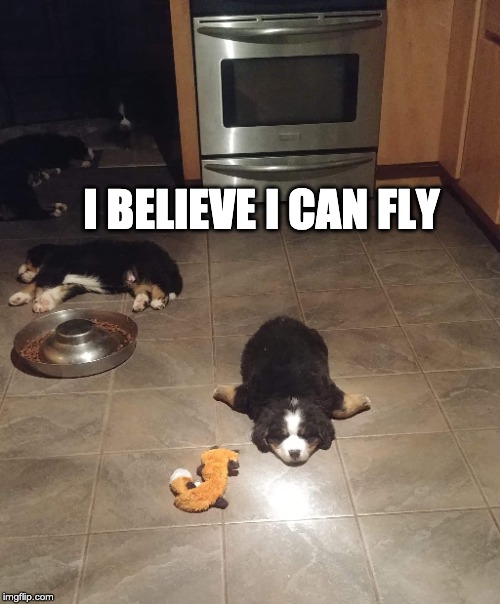 I BELIEVE I CAN FLY | image tagged in memes | made w/ Imgflip meme maker