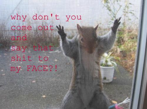 image tagged in funny