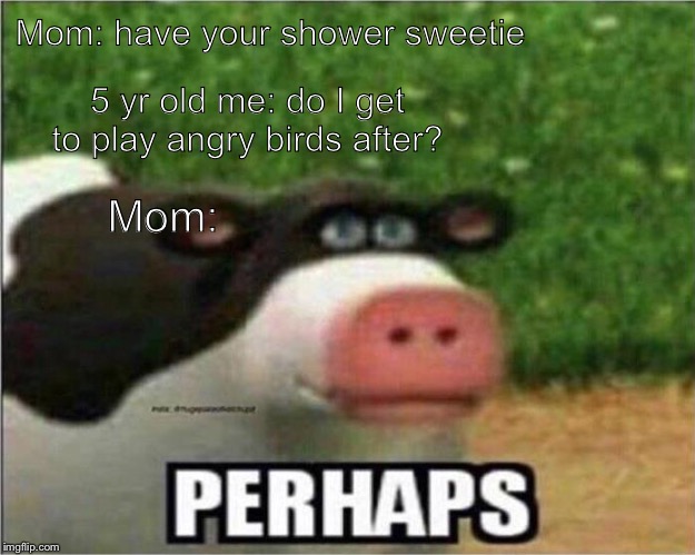 Perhaps Cow | Mom: have your shower sweetie; 5 yr old me: do I get to play angry birds after? Mom: | image tagged in perhaps cow | made w/ Imgflip meme maker