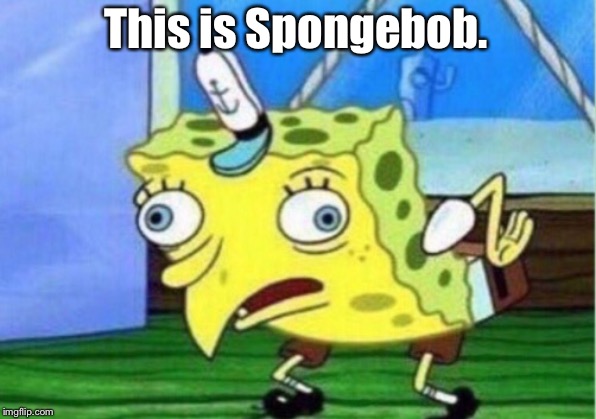 Mocking Spongebob Meme | This is Spongebob. | image tagged in memes,mocking spongebob | made w/ Imgflip meme maker