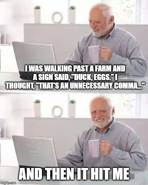 Hide the Pain Harold Meme | I WAS WALKING PAST A FARM AND A SIGN SAID, "DUCK, EGGS." I THOUGHT, "THAT'S AN UNNECESSARY COMMA..."; AND THEN IT HIT ME | image tagged in memes,hide the pain harold | made w/ Imgflip meme maker