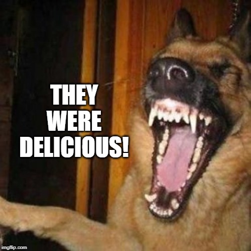 Laughing Dog | THEY WERE DELICIOUS! | image tagged in laughing dog | made w/ Imgflip meme maker
