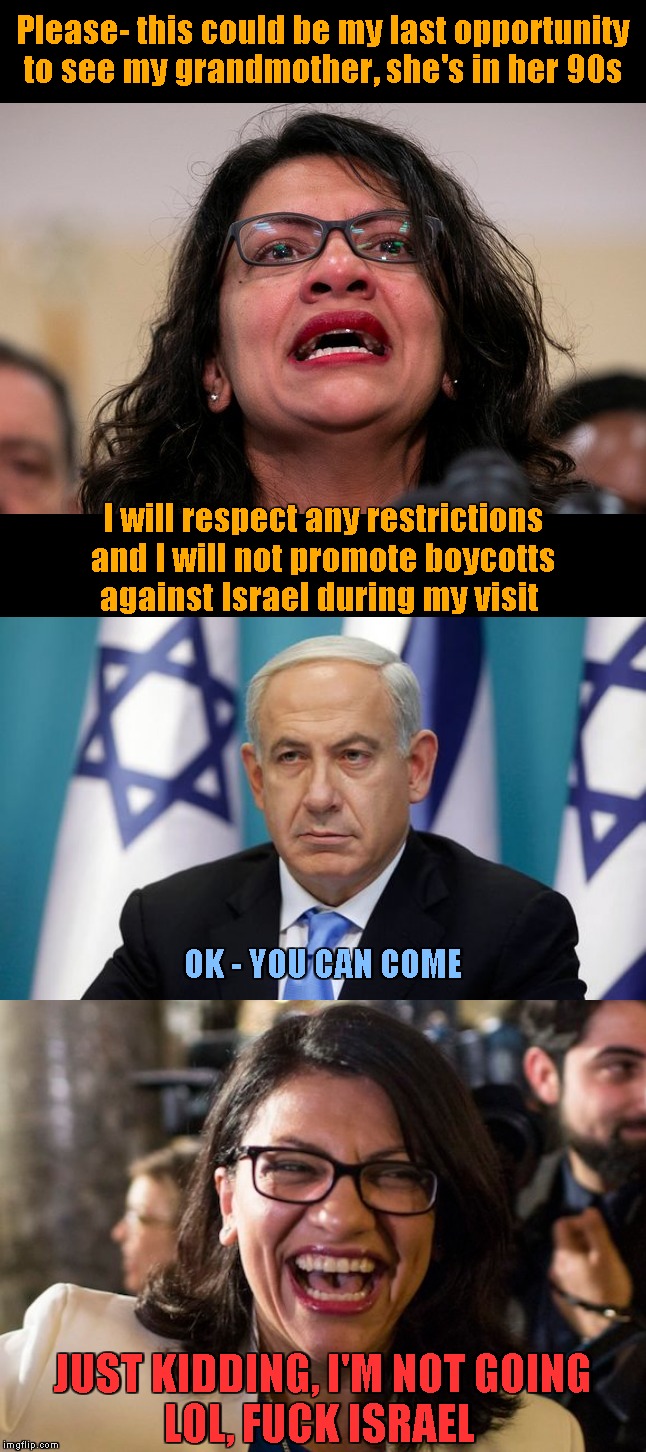 Just Kidding | Please- this could be my last opportunity to see my grandmother, she's in her 90s; I will respect any restrictions
and I will not promote boycotts
against Israel during my visit; OK - YOU CAN COME; JUST KIDDING, I'M NOT GOING
LOL, FUCK ISRAEL | image tagged in memes,rashida tlaib,israel,squad,travel ban | made w/ Imgflip meme maker