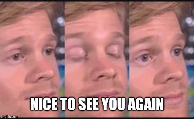 Blinking guy | NICE TO SEE YOU AGAIN | image tagged in blinking guy | made w/ Imgflip meme maker