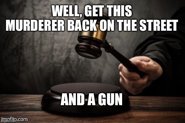Court | WELL, GET THIS MURDERER BACK ON THE STREET AND A GUN | image tagged in court | made w/ Imgflip meme maker