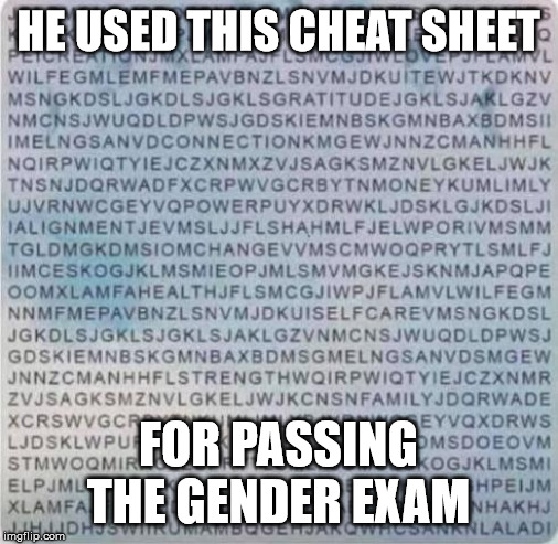 HE USED THIS CHEAT SHEET FOR PASSING THE GENDER EXAM | made w/ Imgflip meme maker