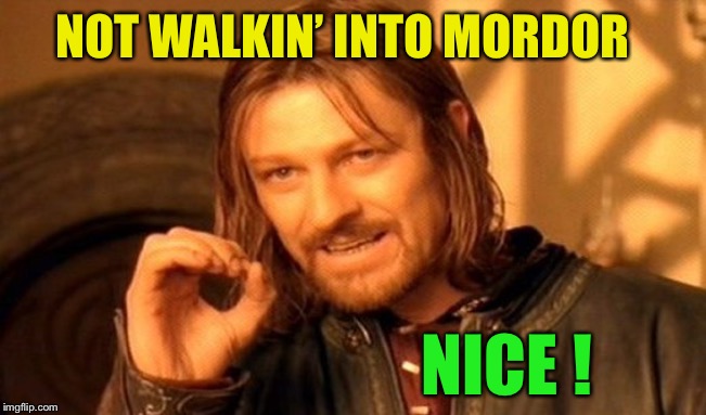 One Does Not Simply Meme | NOT WALKIN’ INTO MORDOR NICE ! | image tagged in memes,one does not simply | made w/ Imgflip meme maker