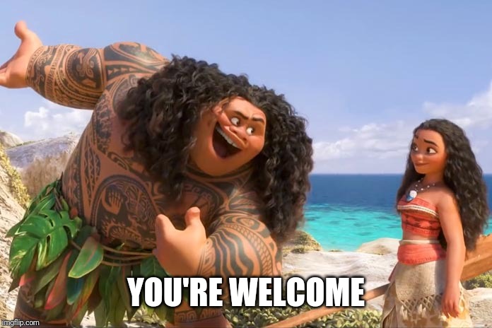 Moana Maui You're Welcome | YOU'RE WELCOME | image tagged in moana maui you're welcome | made w/ Imgflip meme maker