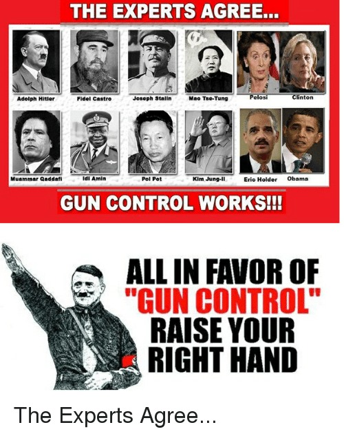 All in Favor Of Gun Control, Raise Your Right Hand | image tagged in second amendment,gun rights,self defense,tyrants,despots,tyranny | made w/ Imgflip meme maker