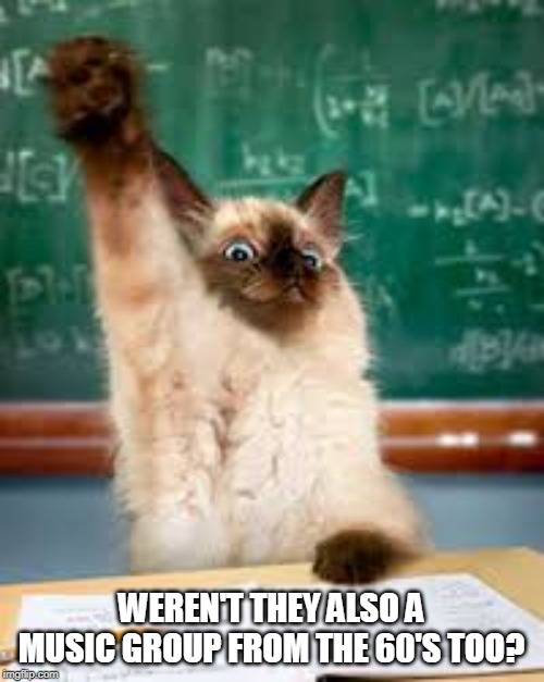 Raised hand cat | WEREN'T THEY ALSO A MUSIC GROUP FROM THE 60'S TOO? | image tagged in raised hand cat | made w/ Imgflip meme maker