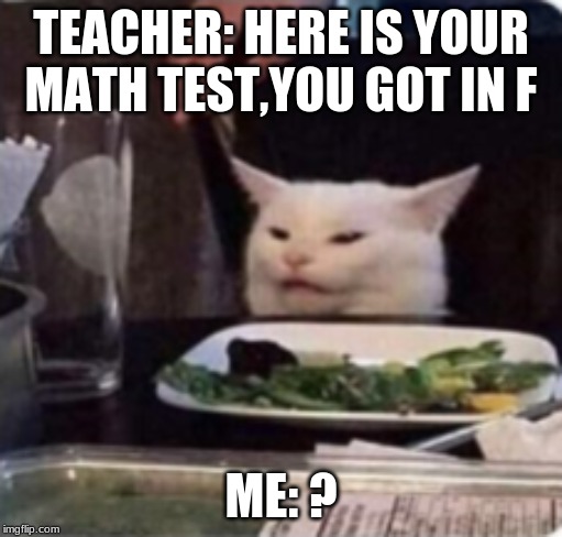 math meme | TEACHER: HERE IS YOUR MATH TEST,YOU GOT IN F; ME: ? | image tagged in no more toilet paper | made w/ Imgflip meme maker