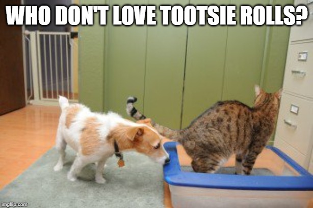 TOOTSIE ROLLS | WHO DON'T LOVE TOOTSIE ROLLS? | image tagged in tootsie rolls | made w/ Imgflip meme maker