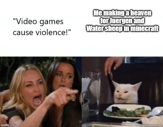Video Games Cause Violence | Me making a heaven for Juergen and Water sheep in minecraft | image tagged in video games cause violence | made w/ Imgflip meme maker