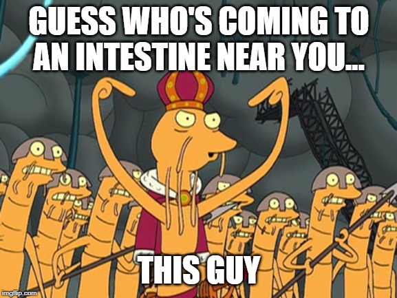 GUESS WHO'S COMING TO AN INTESTINE NEAR YOU... THIS GUY | image tagged in futurama,worms | made w/ Imgflip meme maker