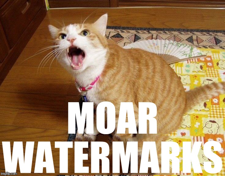 moar cat | MOAR WATERMARKS | image tagged in moar cat,how dare you | made w/ Imgflip meme maker