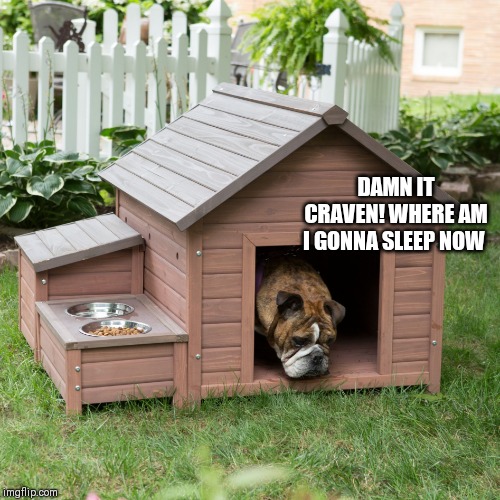Dog House | DAMN IT CRAVEN! WHERE AM I GONNA SLEEP NOW | image tagged in dog house | made w/ Imgflip meme maker