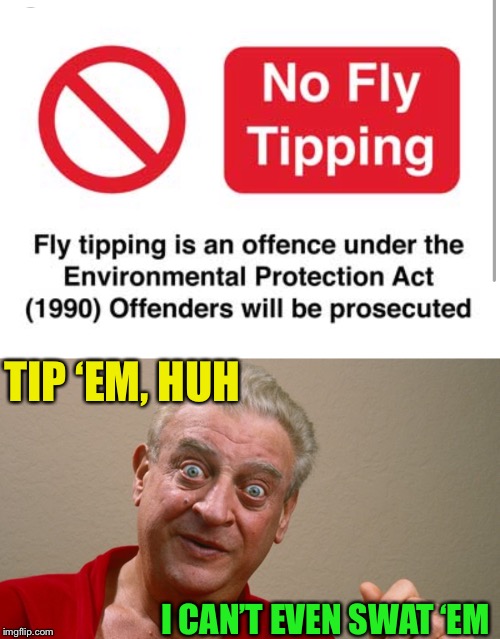 I tell ya ! | TIP ‘EM, HUH; I CAN’T EVEN SWAT ‘EM | image tagged in rodney dangerfield,fly tipping,entomology | made w/ Imgflip meme maker