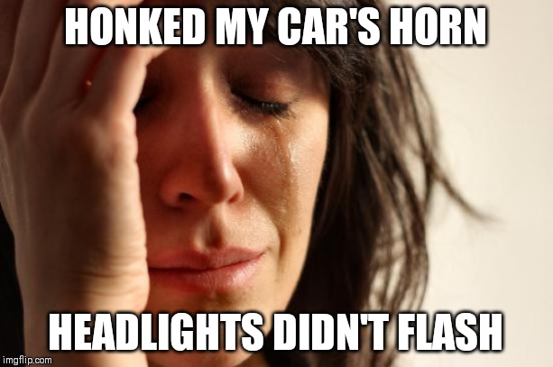 First World Problems | HONKED MY CAR'S HORN; HEADLIGHTS DIDN'T FLASH | image tagged in memes,first world problems | made w/ Imgflip meme maker