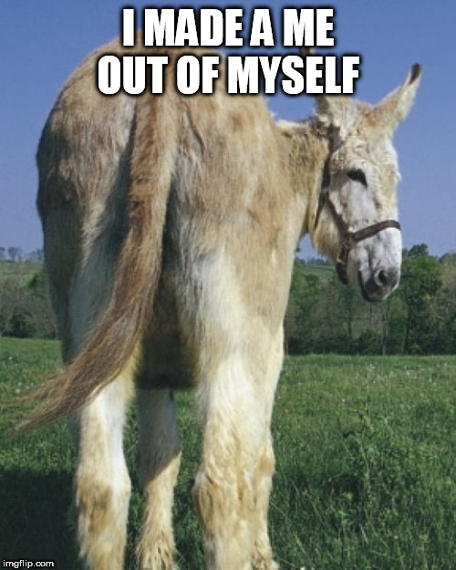 donkey ass | I MADE A ME OUT OF MYSELF | image tagged in donkey ass | made w/ Imgflip meme maker