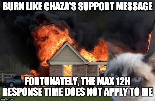 Burn Kitty Meme | BURN LIKE CHAZA'S SUPPORT MESSAGE; FORTUNATELY, THE MAX 12H RESPONSE TIME DOES NOT APPLY TO ME | image tagged in memes,burn kitty,grumpy cat | made w/ Imgflip meme maker