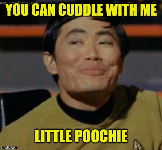 sulu | YOU CAN CUDDLE WITH ME LITTLE POOCHIE | image tagged in sulu | made w/ Imgflip meme maker