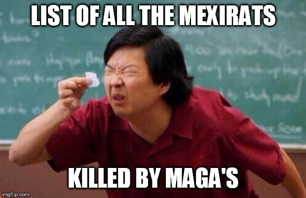 List of people I trust | LIST OF ALL THE MEXIRATS KILLED BY MAGA'S | image tagged in list of people i trust | made w/ Imgflip meme maker