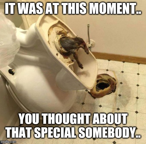 Sewer rat fink snitch piece of shi*. | IT WAS AT THIS MOMENT.. YOU THOUGHT ABOUT THAT SPECIAL SOMEBODY.. | image tagged in sewer rat fink snitch piece of shi | made w/ Imgflip meme maker