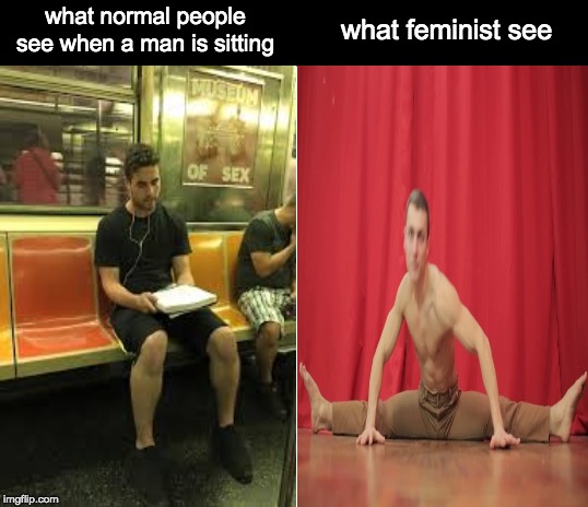 what feminist see; what normal people see when a man is sitting | image tagged in blank white template | made w/ Imgflip meme maker