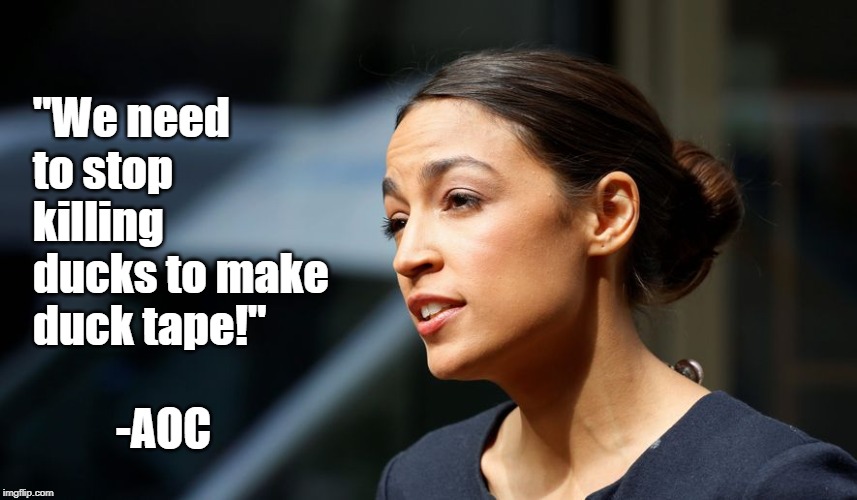 Daily AOC quote | "We need to stop killing ducks to make duck tape!"; -AOC | image tagged in daily aoc quote | made w/ Imgflip meme maker