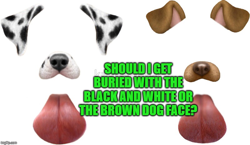Snapchat dog filter | SHOULD I GET BURIED WITH THE BLACK AND WHITE OR THE BROWN DOG FACE? | image tagged in snapchat dog filter | made w/ Imgflip meme maker