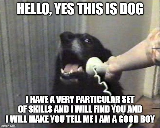 hello this is dog - Imgflip