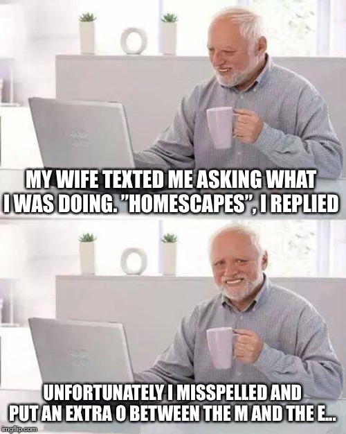 Damn auto-correct...! | MY WIFE TEXTED ME ASKING WHAT I WAS DOING. ”HOMESCAPES”, I REPLIED; UNFORTUNATELY I MISSPELLED AND PUT AN EXTRA O BETWEEN THE M AND THE E... | image tagged in memes,hide the pain harold | made w/ Imgflip meme maker