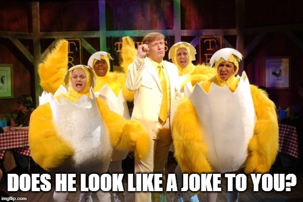Chicken Trump | DOES HE LOOK LIKE A JOKE TO YOU? | image tagged in chicken trump | made w/ Imgflip meme maker