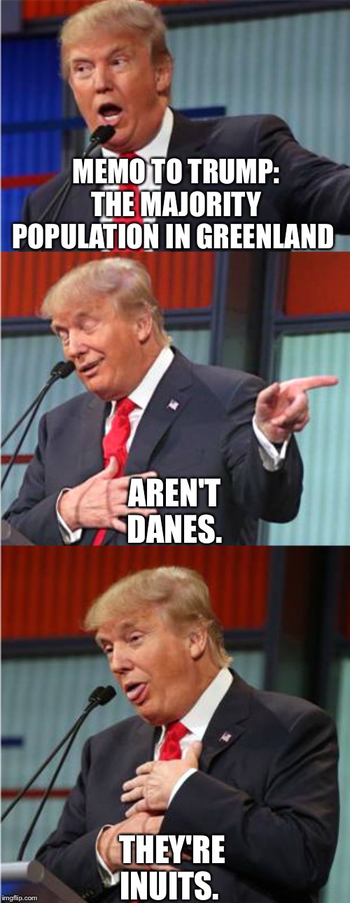 IOW, what you'd call a s***hole country. | MEMO TO TRUMP: THE MAJORITY POPULATION IN GREENLAND; AREN'T DANES. THEY'RE INUITS. | image tagged in bad pun trump | made w/ Imgflip meme maker