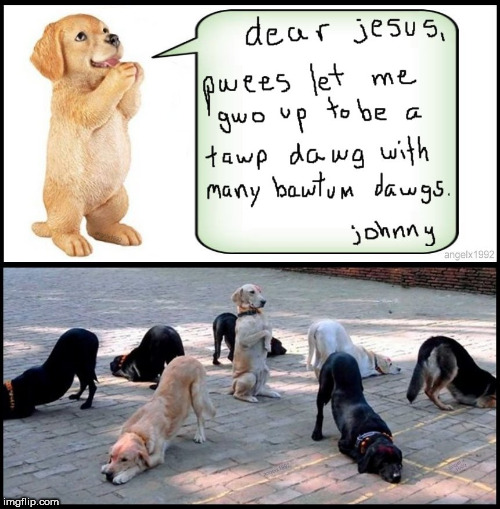 image tagged in dogs,bottom,top,lgbtq,jesus,gays | made w/ Imgflip meme maker