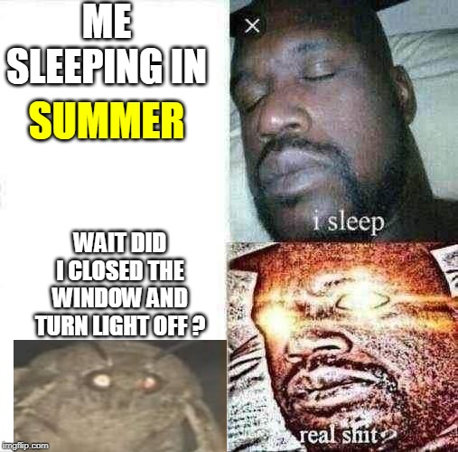 Sleeping Shaq | ME SLEEPING IN; SUMMER; WAIT DID I CLOSED THE WINDOW AND TURN LIGHT OFF ? | image tagged in memes,sleeping shaq | made w/ Imgflip meme maker