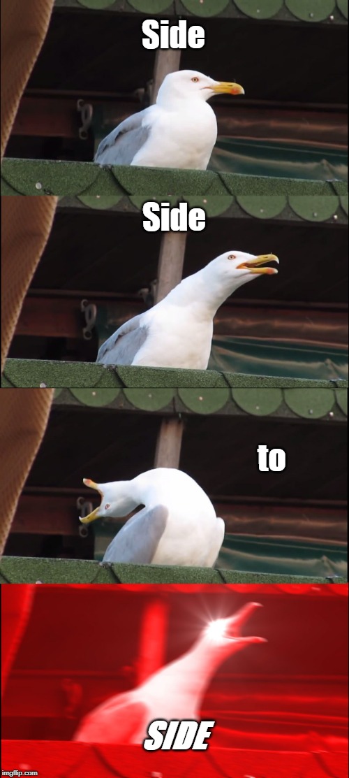 Inhaling Seagull Meme | Side Side to SIDE | image tagged in memes,inhaling seagull | made w/ Imgflip meme maker