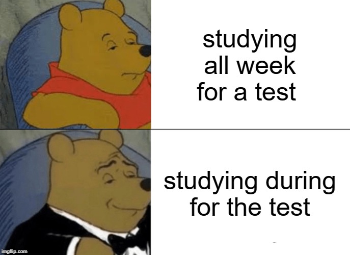 Tuxedo Winnie The Pooh | studying all week for a test; studying during for the test | image tagged in memes,tuxedo winnie the pooh | made w/ Imgflip meme maker