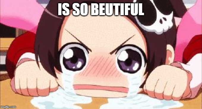 the crying anime girl | IS SO BEUTIFUL | image tagged in the crying anime girl | made w/ Imgflip meme maker