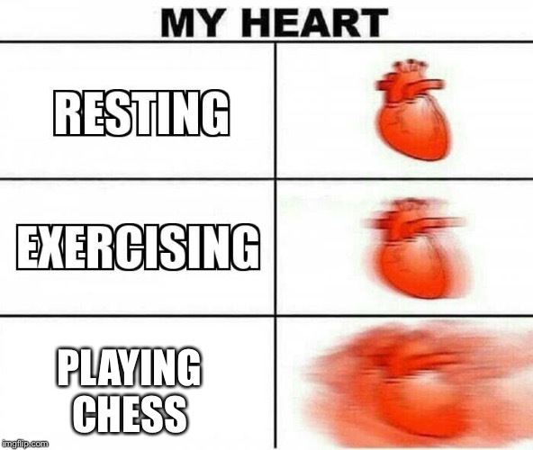 But hey, that's my opinion | PLAYING CHESS | image tagged in my heart,chess | made w/ Imgflip meme maker