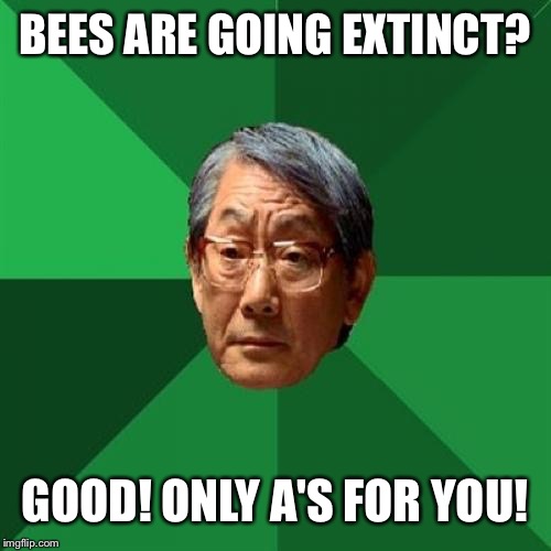 'Bee Movie'? Why not 'A Movie'? | BEES ARE GOING EXTINCT? GOOD! ONLY A'S FOR YOU! | image tagged in memes,high expectations asian father,bees,report card,dying | made w/ Imgflip meme maker