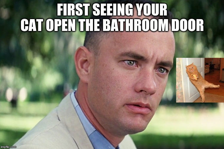 And Just Like That | FIRST SEEING YOUR CAT OPEN THE BATHROOM DOOR | image tagged in memes,and just like that | made w/ Imgflip meme maker