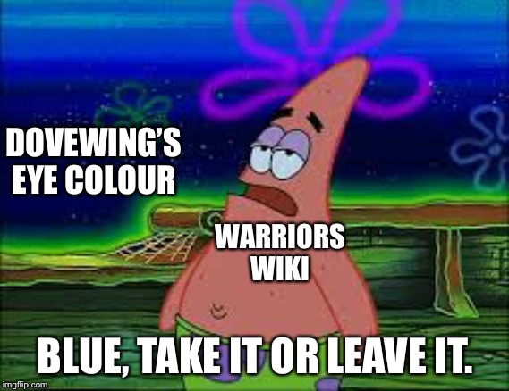 The great Dovewing eye colour war. | DOVEWING’S EYE COLOUR; WARRIORS WIKI; BLUE, TAKE IT OR LEAVE IT. | image tagged in take it or leave it,warrior cats | made w/ Imgflip meme maker